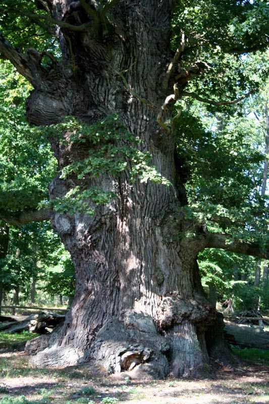 Killikus&reg; Fotographie